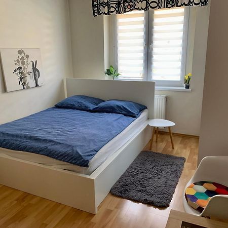 Apartament Joanna Parter Blisko Onkologii I Strefy Ekonomicznej Gliwice Esterno foto