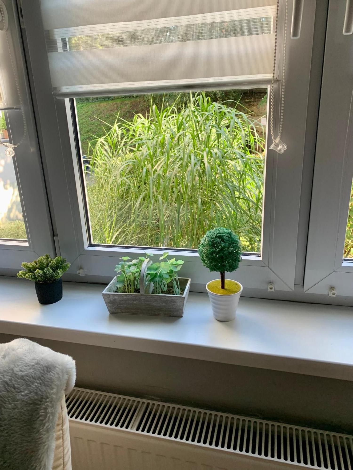 Apartament Joanna Parter Blisko Onkologii I Strefy Ekonomicznej Gliwice Esterno foto